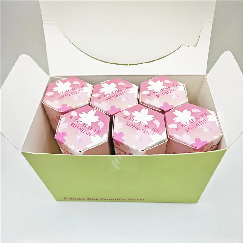 MINISO Sonny Angle Kersenbloesem Serie Mini Figuren – Beperkte Editie Verzameldoll voor Kinderen